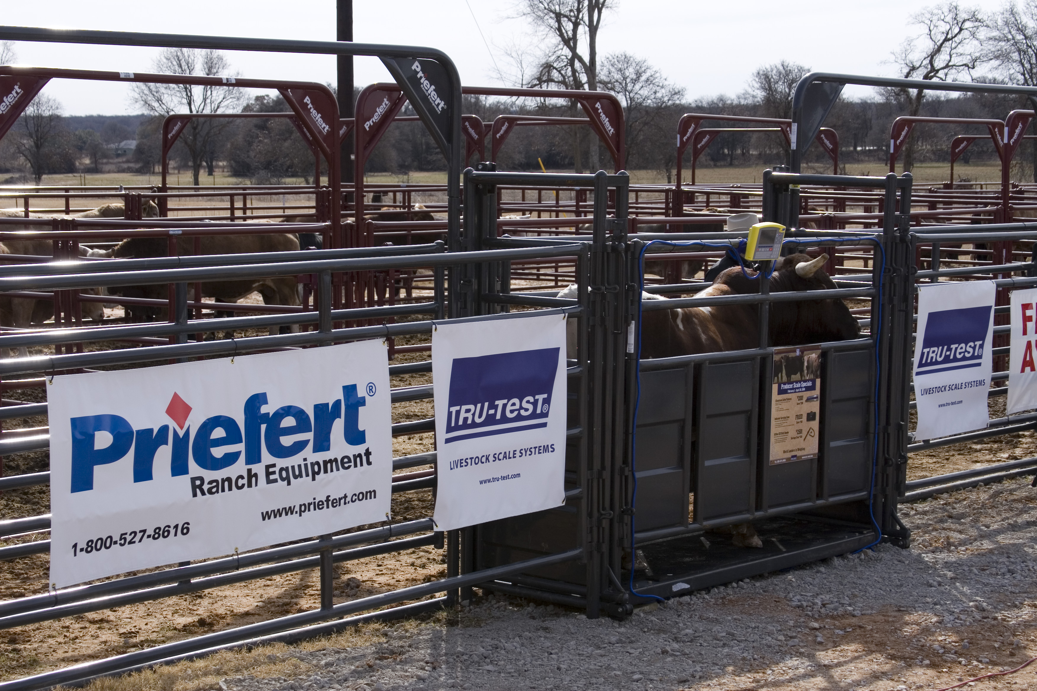 TruTest Lifestyle 04 Tallman.jpg